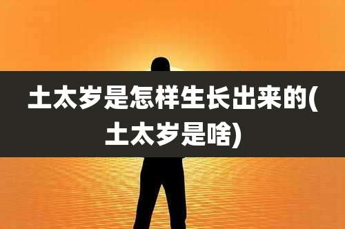 土太岁是怎样生长出来的(土太岁是啥)