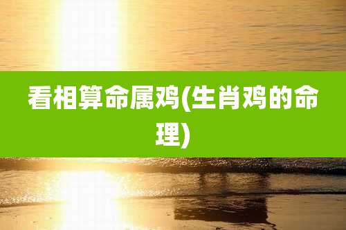看相算命属鸡(生肖鸡的命理)