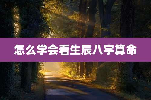 怎么学会看生辰八字算命