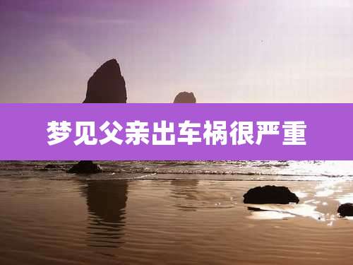 梦见父亲出车祸很严重