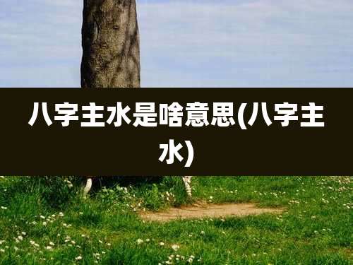 八字主水是啥意思(八字主水)