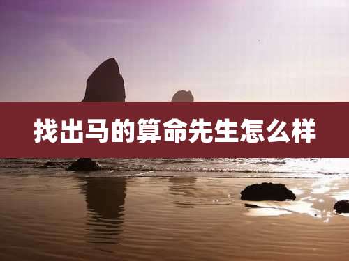 找出马的算命先生怎么样