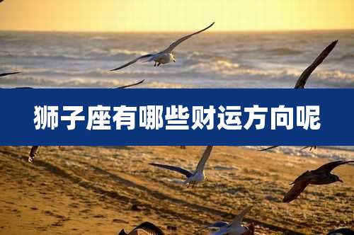 狮子座有哪些财运方向呢