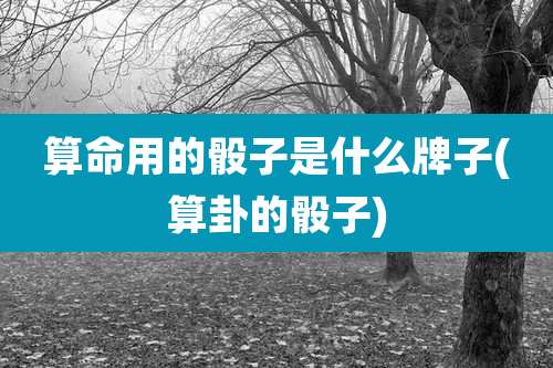 算命用的骰子是什么牌子(算卦的骰子)