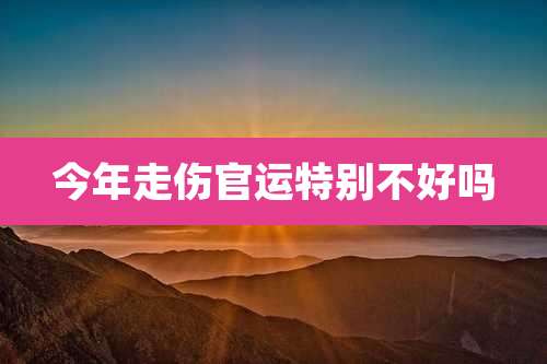 今年走伤官运特别不好吗