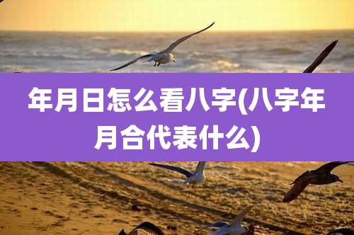 年月日怎么看八字(八字年月合代表什么)