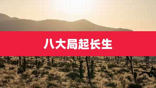 八大局起长生