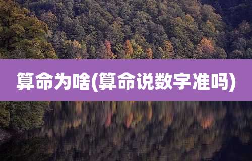 算命为啥(算命说数字准吗)