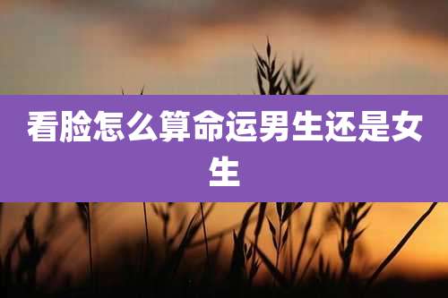 看脸怎么算命运男生还是女生