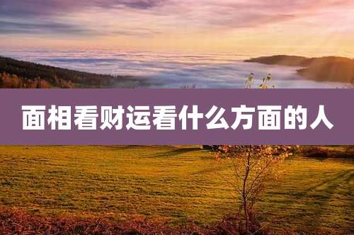 面相看财运看什么方面的人