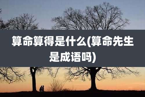 算命算得是什么(算命先生是成语吗)