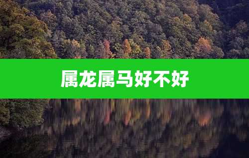 属龙属马好不好