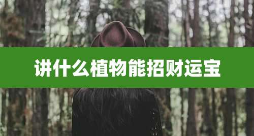 讲什么植物能招财运宝