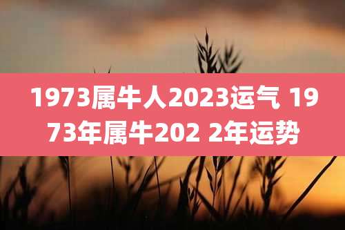 1973属牛人2023运气 1973年属牛202 2年运势