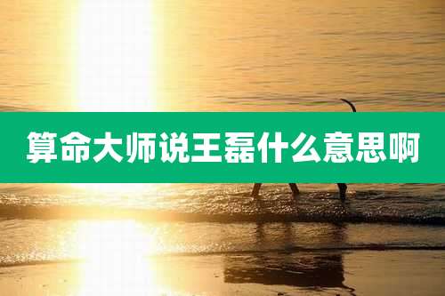 算命大师说王磊什么意思啊