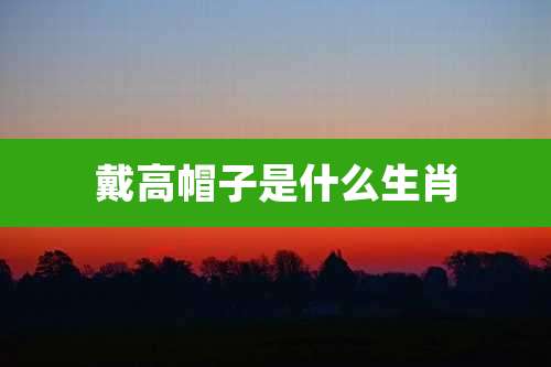 戴高帽子是什么生肖