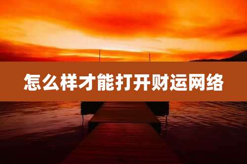 怎么样才能打开财运网络