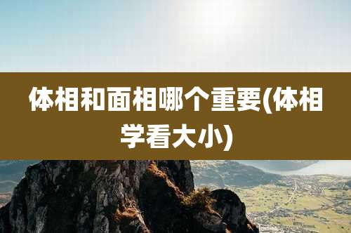 体相和面相哪个重要(体相学看大小)