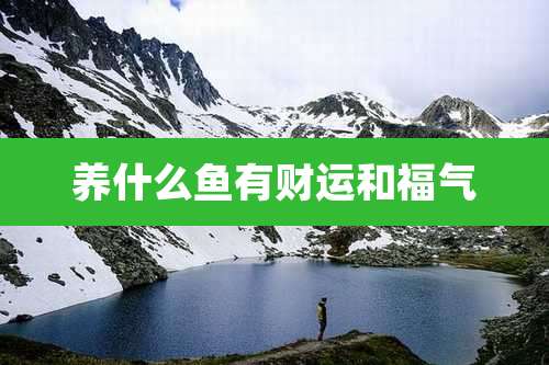 养什么鱼有财运和福气