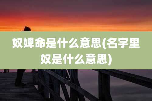 奴婢命是什么意思(名字里奴是什么意思)