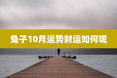兔子10月运势财运如何呢
