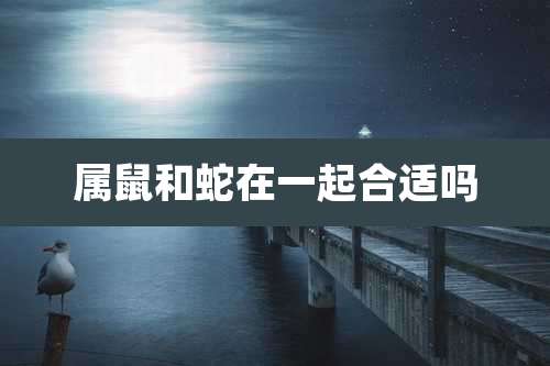 属鼠和蛇在一起合适吗