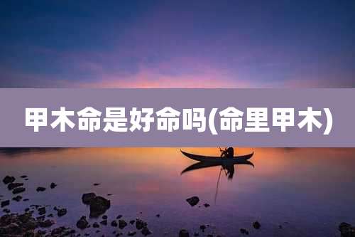甲木命是好命吗(命里甲木)