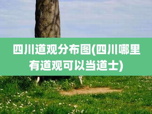 四川道观分布图(四川哪里有道观可以当道士)