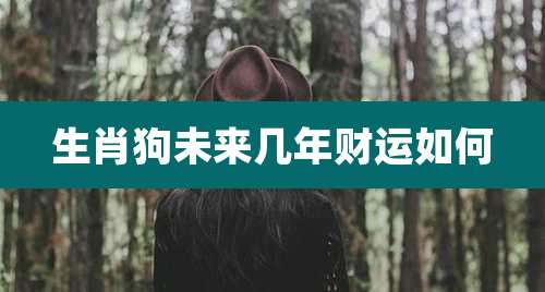 生肖狗未来几年财运如何