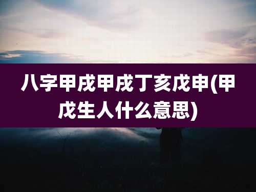 八字甲戌甲戌丁亥戊申(甲戊生人什么意思)