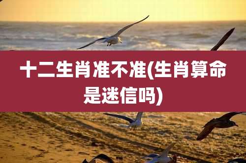 十二生肖准不准(生肖算命是迷信吗)
