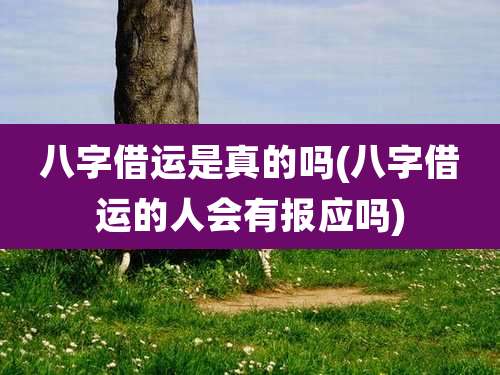八字借运是真的吗(八字借运的人会有报应吗)