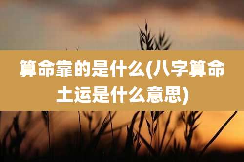 算命靠的是什么(八字算命土运是什么意思)