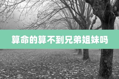 算命的算不到兄弟姐妹吗