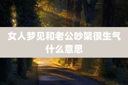 女人梦见和老公吵架很生气什么意思