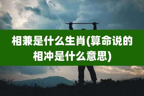 相兼是什么生肖(算命说的相冲是什么意思)