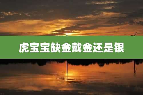 虎宝宝缺金戴金还是银