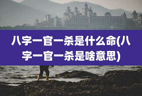 八字一官一杀是什么命(八字一官一杀是啥意思)