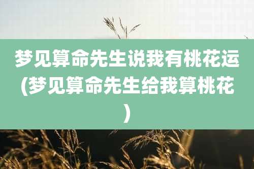 梦见算命先生说我有桃花运(梦见算命先生给我算桃花)