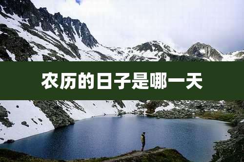 农历的日子是哪一天