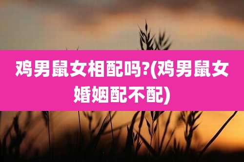 鸡男鼠女相配吗?(鸡男鼠女婚姻配不配)