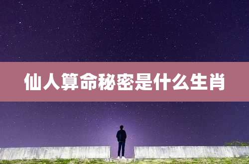 仙人算命秘密是什么生肖