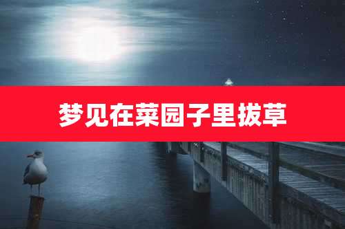 梦见在菜园子里拔草