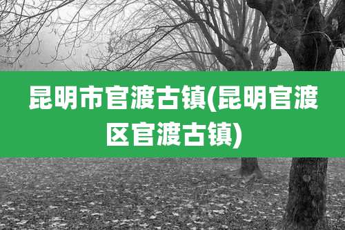 昆明市官渡古镇(昆明官渡区官渡古镇)