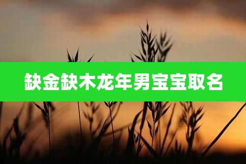 缺金缺木龙年男宝宝取名
