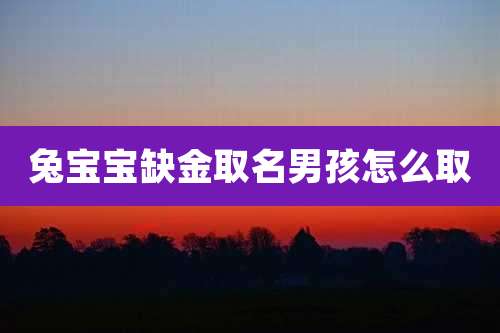 兔宝宝缺金取名男孩怎么取