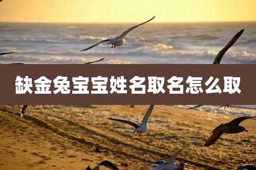 缺金兔宝宝姓名取名怎么取