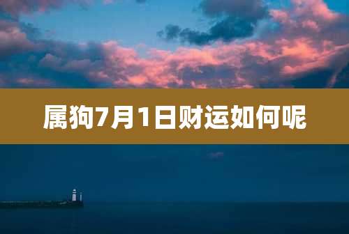 属狗7月1日财运如何呢