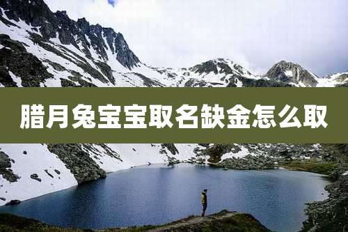 腊月兔宝宝取名缺金怎么取