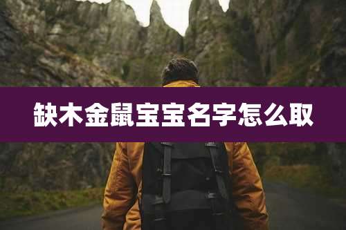 缺木金鼠宝宝名字怎么取
